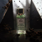 Forces Invisibles INVISYA