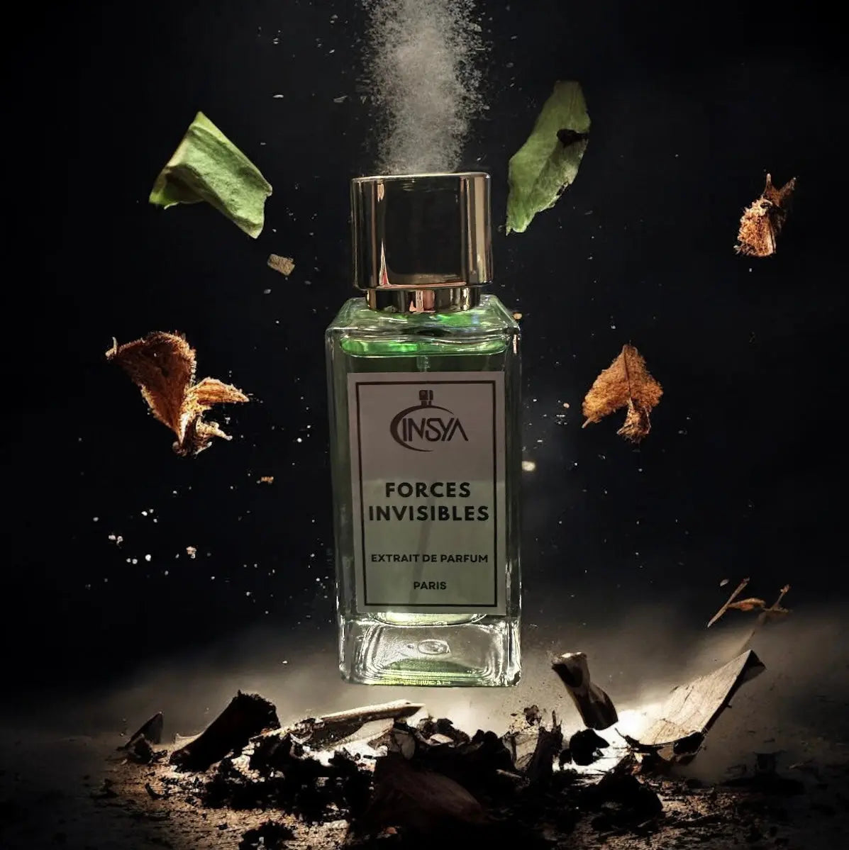 Forces Invisibles INVISYA