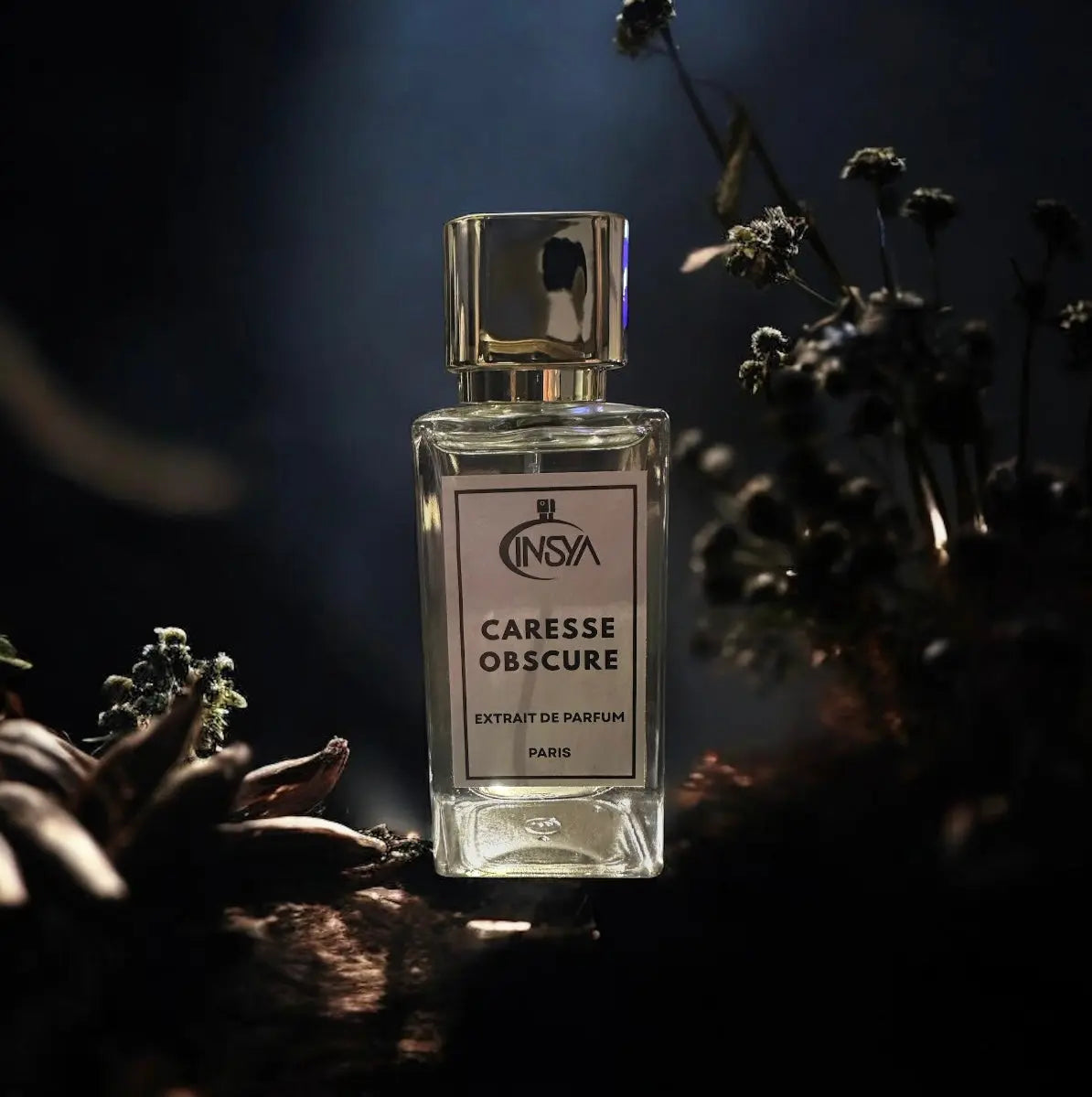 Caresse Obscure INVISYA