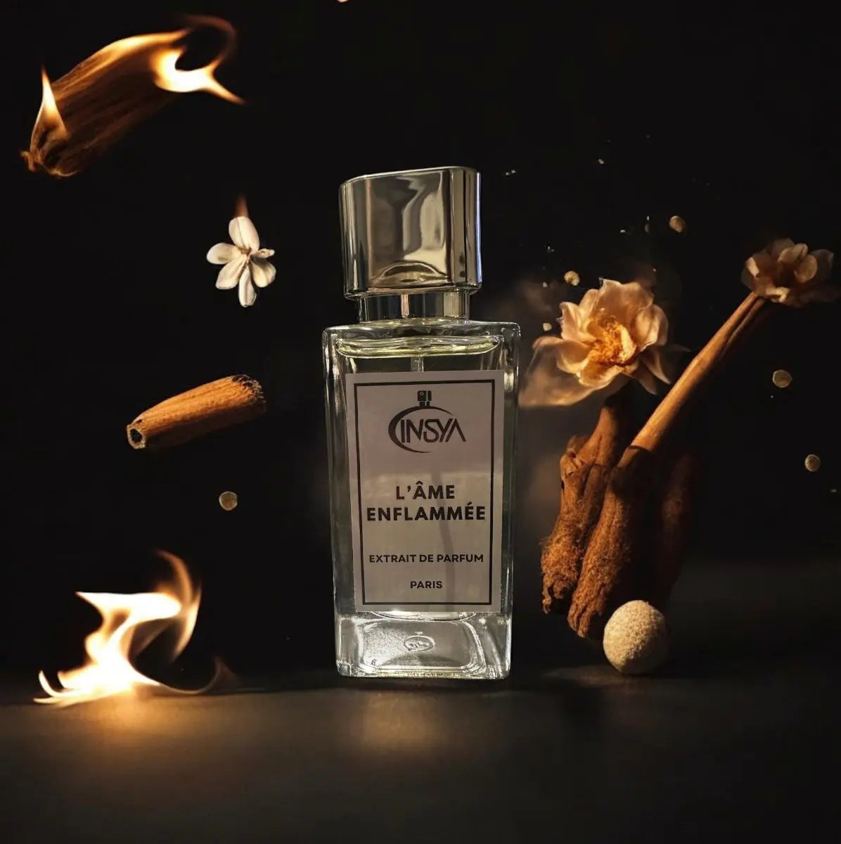 L'Âme Enflammée INVISYA