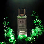 Forces Invisibles INVISYA