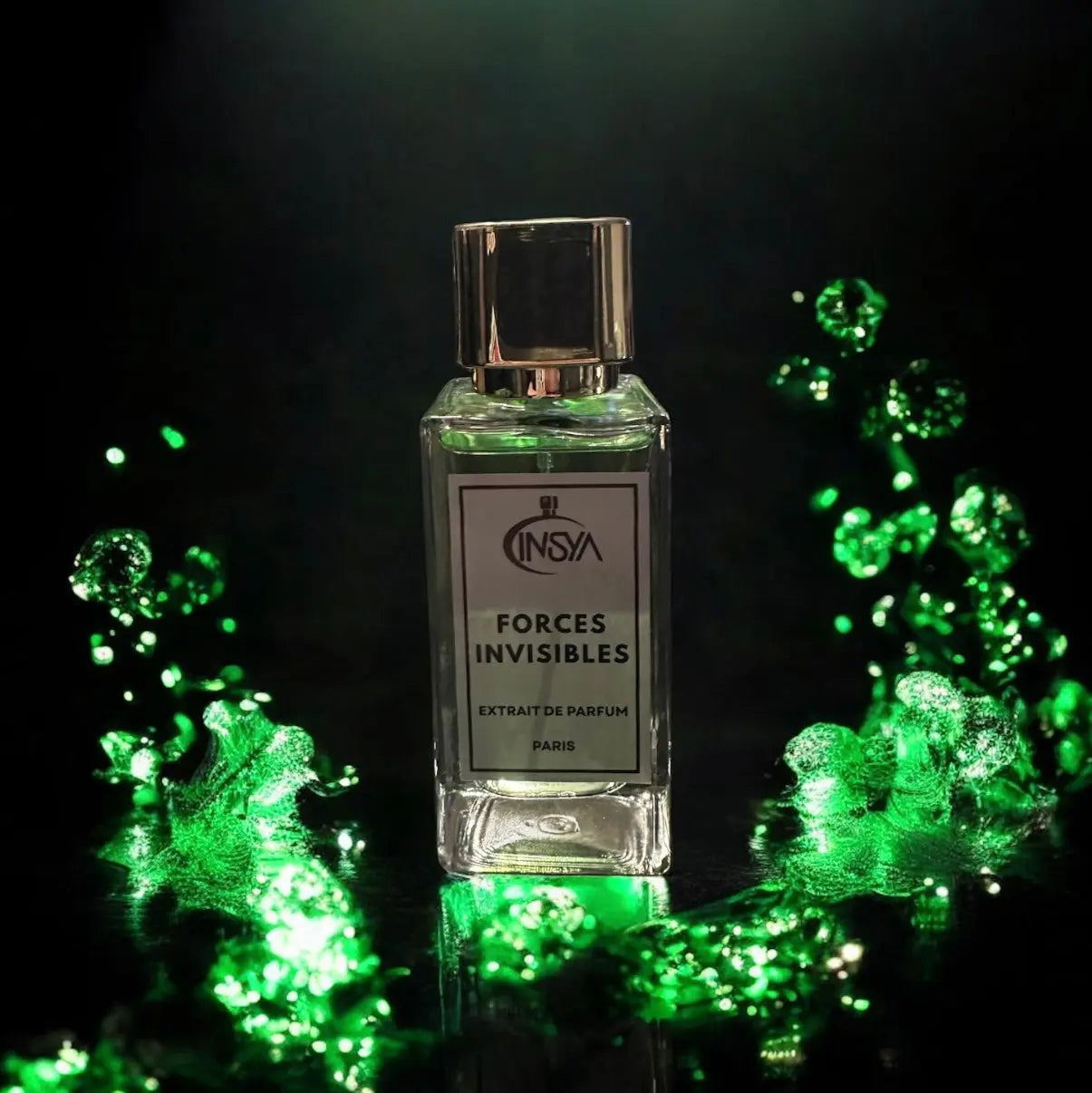 Forces Invisibles INVISYA